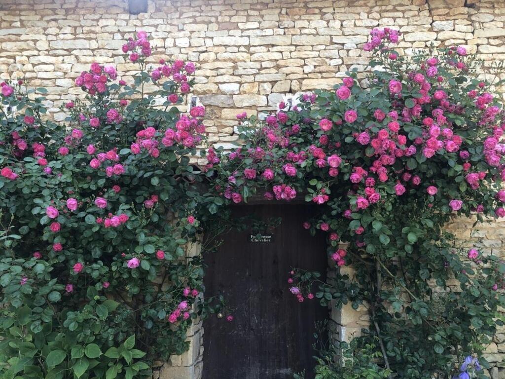 Blacksmiths Apartment In Blanzay - 1 Bed ภายนอก รูปภาพ